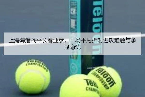 shang-hai-hai-gang-zhan-ping-chang-chun-ya-tai-yi-chang-ping-ju-zhe-she-jin-gong-nan-ti-yu-zheng-guan-yin-you-2-298.jpg